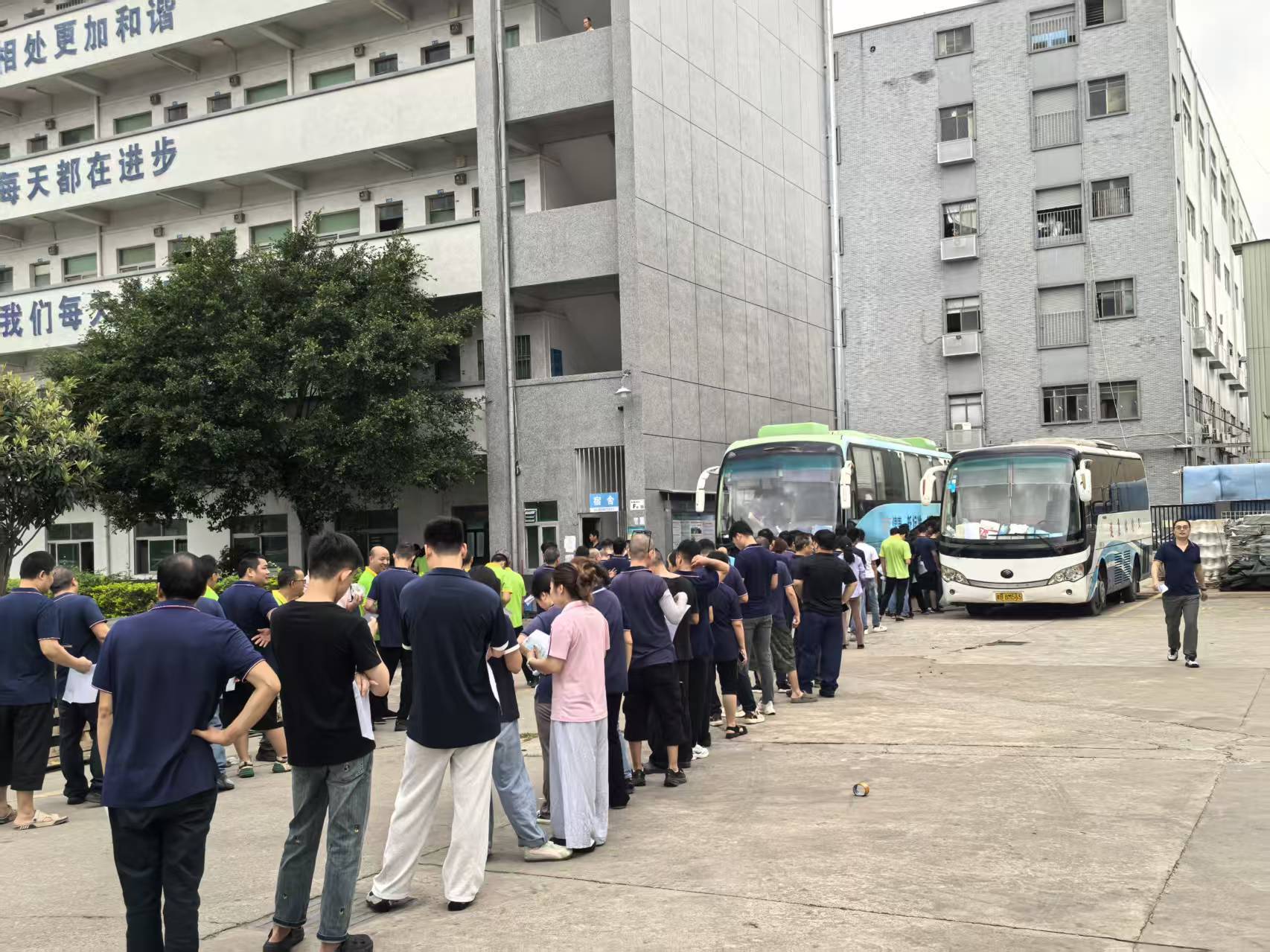 tijian (1)